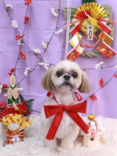 20230115ちょびくん